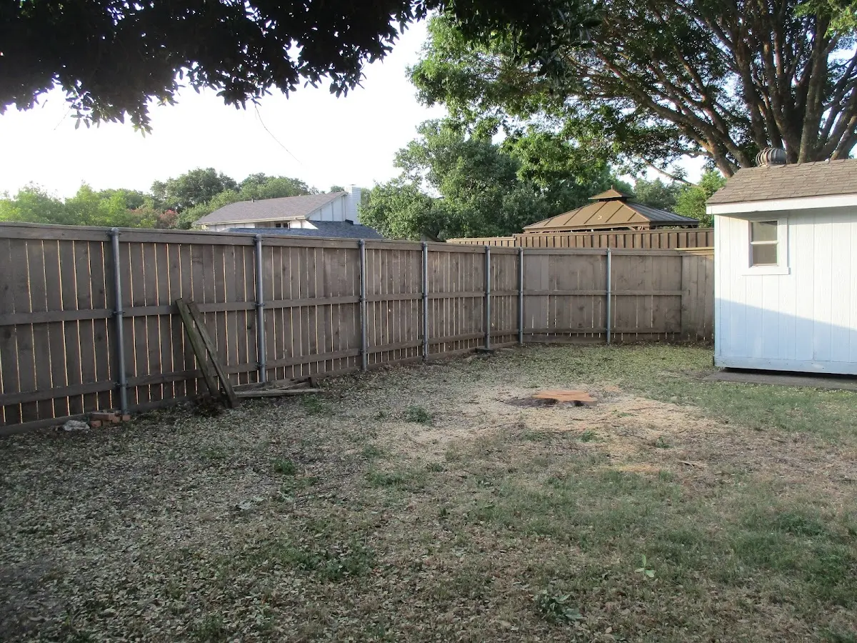 Cleared yard after professional tree removal in Randolph